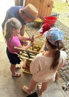 Äpfel zu Apfelsaft pressen